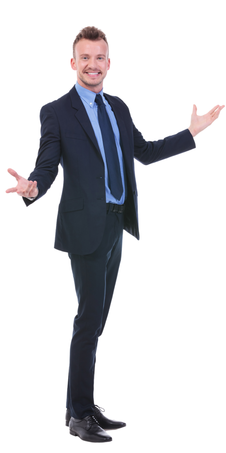Consultores en BI